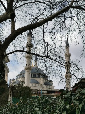 41.32583333333334,19.82527777777778