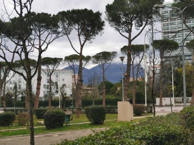 41.31954956027778,19.82018089277778