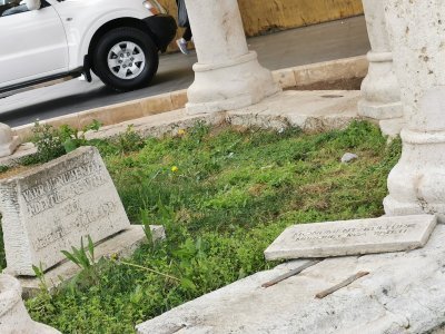 41.32805555555556,19.82194444444444