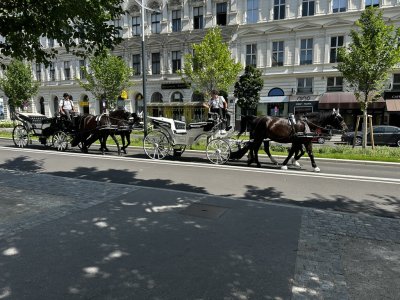 48.21438888888889,16.35749722222223