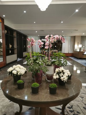 50.06295394888889,14.43199062333333