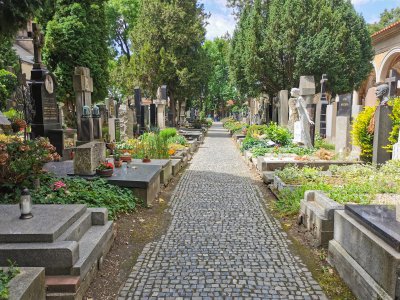 Saints Peter & Paul Basilica