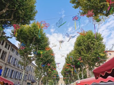 Provence-Alpes-Côte d'Azur