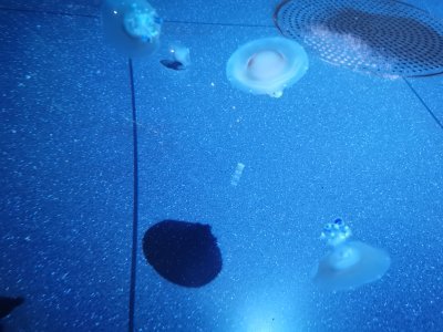 46.1532554625,-1.15065145472222