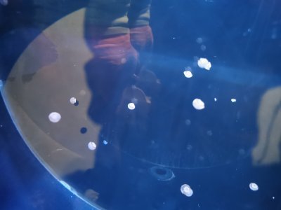 46.15326309194445,-1.15063941472222