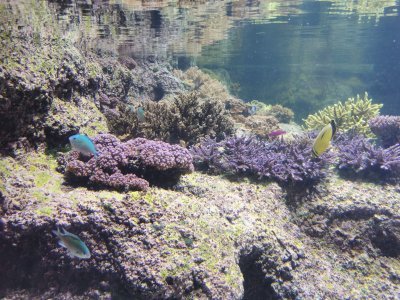 46.15326309194445,-1.15064144111111