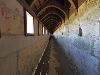 47.77333831777778,2.37344169611111