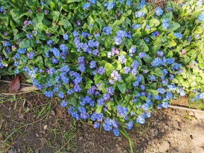 47.76652145361111,2.48061585416667