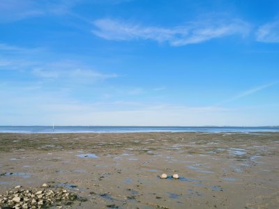 45.8823394775,-1.18872785555556