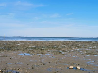 45.8823394775,-1.18872785555556