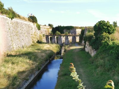 45.88676071166667,-1.18964087944444