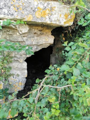 45.88871383666667,-1.19158983222222