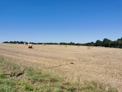 46.09617996194444,-0.76285475472222