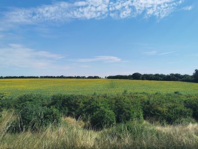 46.35519790638889,-0.33043763027778