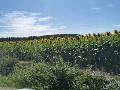 46.99828720083333,-0.10897596916667