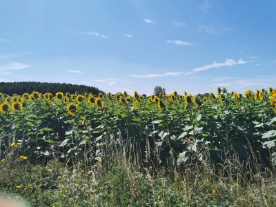 46.99828720083333,-0.10897596916667