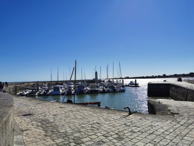 46.18853759749999,-1.32383859138889