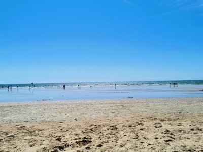 45.87697982777778,-1.26435649388889