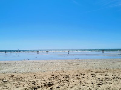 45.87697982777778,-1.26435649388889