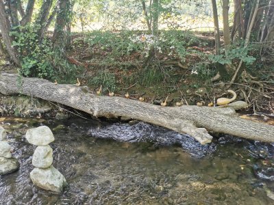 42.98375320416667,1.78334414944444