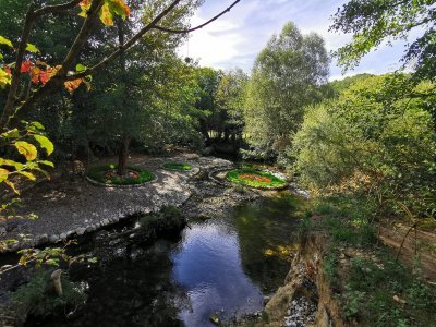 42.98374557472222,1.78398048861111