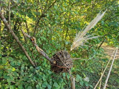 42.98392486555556,1.78373682472222