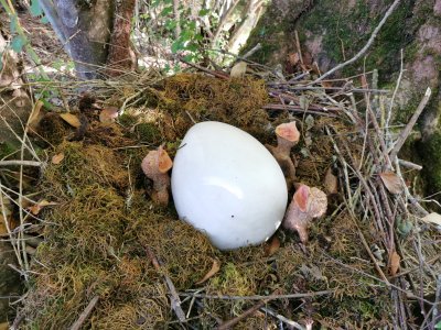 42.98358917222222,1.78440475444444