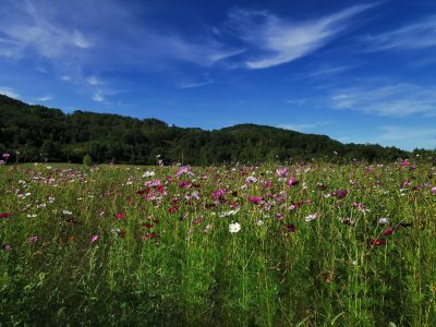 42.9839019775,1.78418505166667