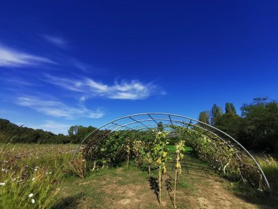 42.9839019775,1.78418505166667