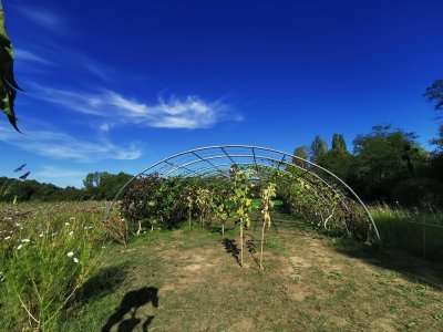 42.9839019775,1.78418505166667