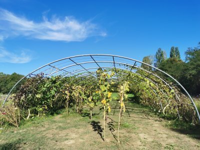 42.9839019775,1.78418505166667