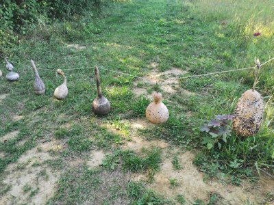 42.97047042833334,1.76955223083333