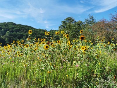 42.98392868027778,1.78377032277778