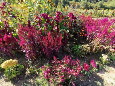 42.97047042833334,1.76955223083333