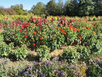 42.984184265,1.78295874583333