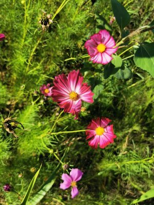 42.98410415638889,1.78276884555556