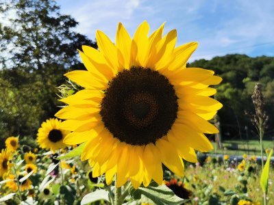 42.97481536861111,1.76377010333333