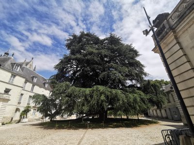 47.39500427222222,0.69420140972222