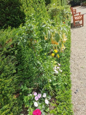 47.39508819555555,0.69540393333333