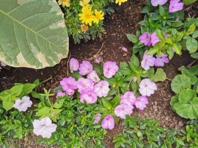 47.39508819555555,0.69540393333333