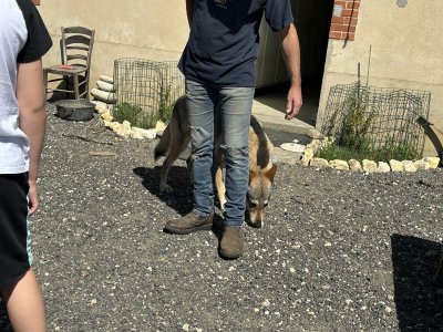 47.93657777777778,2.358875