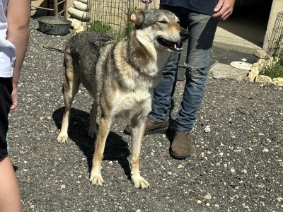 47.93648611111111,2.35888055555556