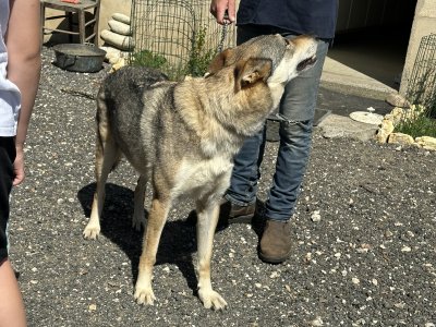 47.93648611111111,2.35887777777778