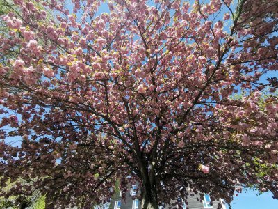 48.95068740833334,3.13264369944444