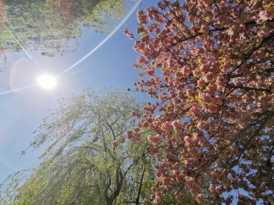 48.95125579833334,3.13268232333333