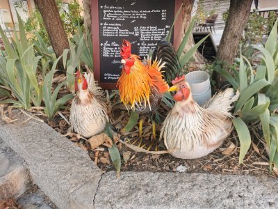 43.49283218361111,6.35993194555556