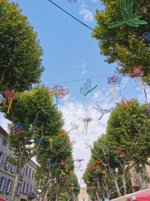 43.49309539777778,6.35937261555556