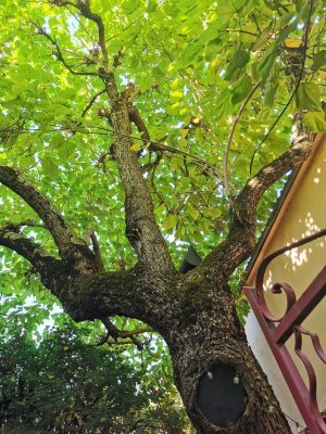 43.08746337888889,1.87333428833333