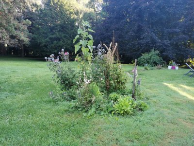 49.02885055527778,1.83924901472222