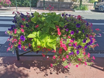 48.80801010111111,2.27094769472222